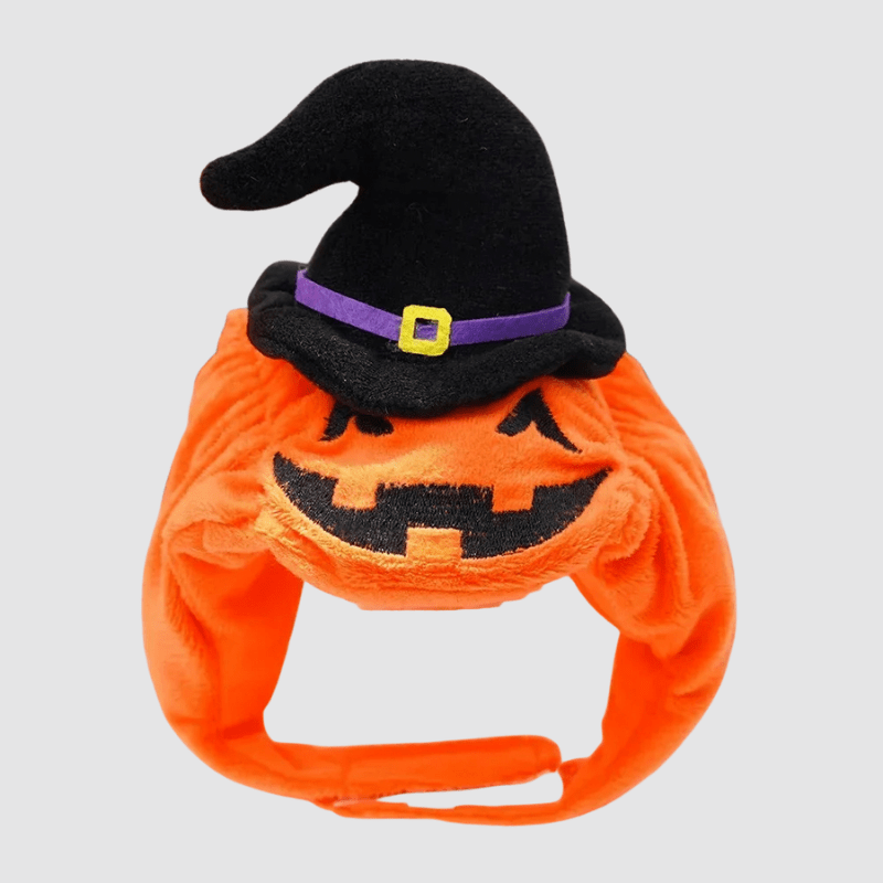 Deguisement citrouille chien chapeau