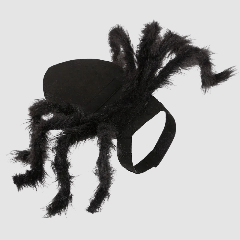 Deguisement halloween chien araignee exemple