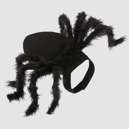 Deguisement halloween chien araignee exemple