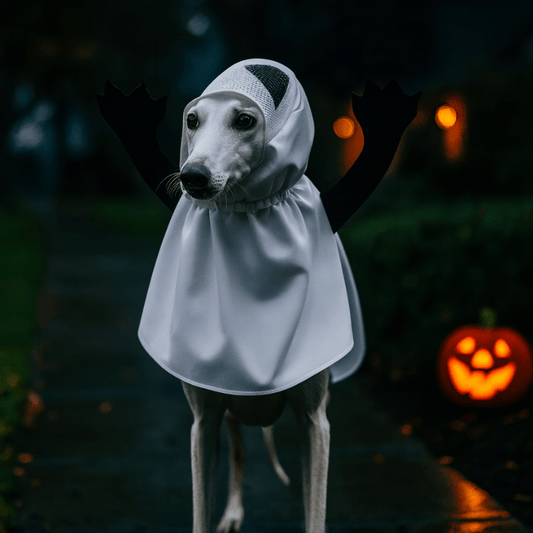 Deguisement halloween chien fantome