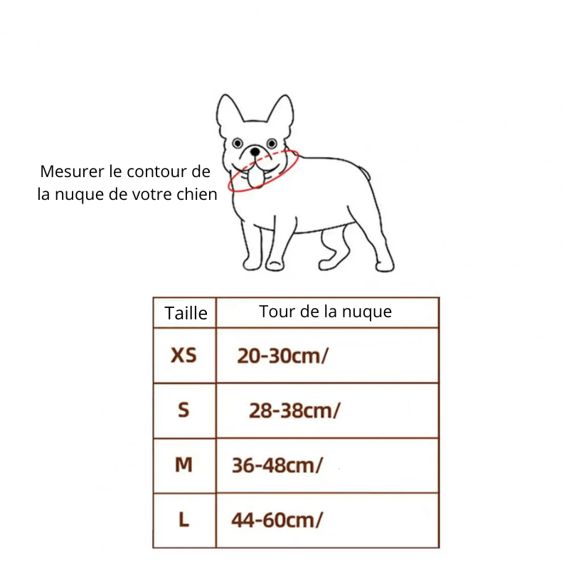Deguisement halloween chien fantome guide des tailles