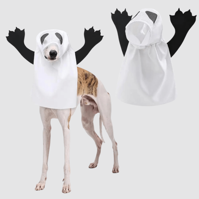 Deguisement halloween chien fantome modele