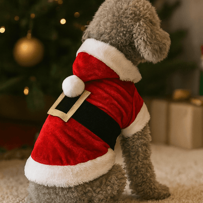 Deguisement noel chien