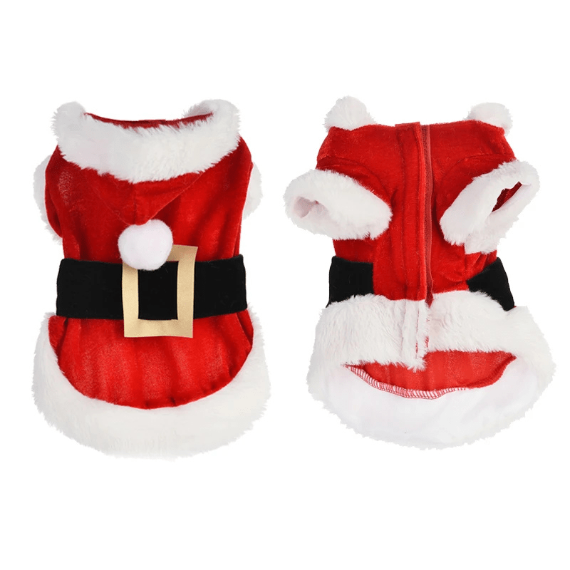 Deguisement noel chien modele