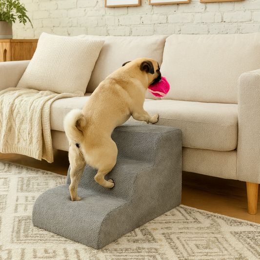 Escalier en mousse pour chien