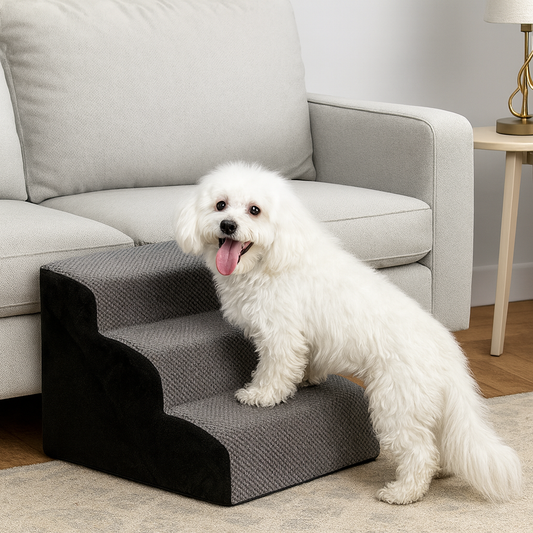 Escalier pour chien âgé