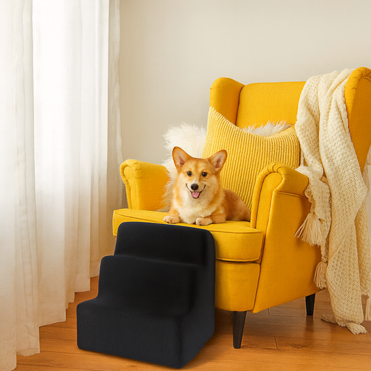 Escalier pour chien dehoussable