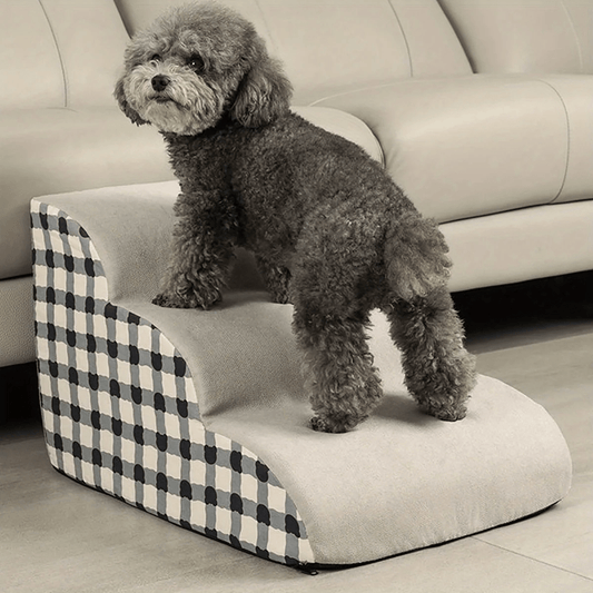 Escalier pour chien fatigue