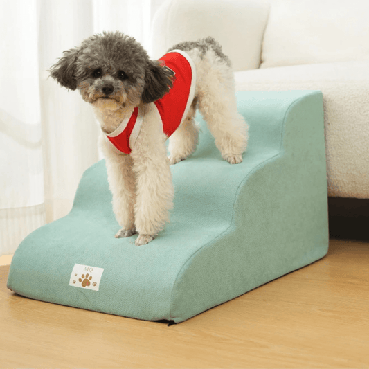 Escalier pour petit chien