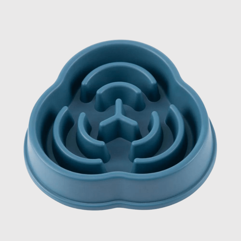 Gamelle anti glouton pour gros chien bleu