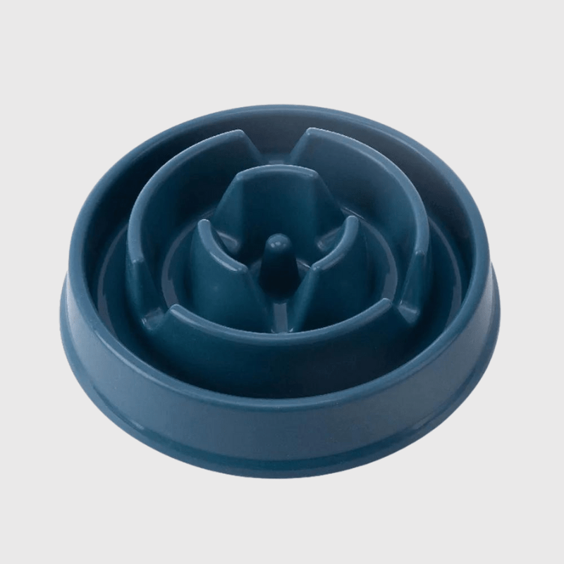 Gamelle anti glouton pour petit chien bleu fonce