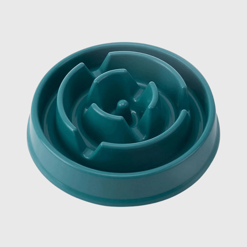 Gamelle anti glouton pour petit chien vert fonce