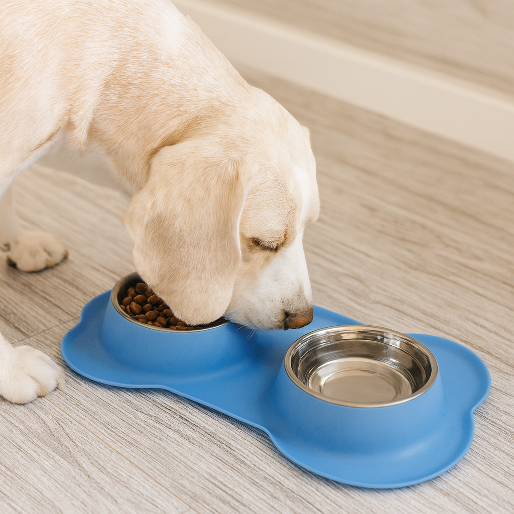 Gamelle double chien Bleu labrador