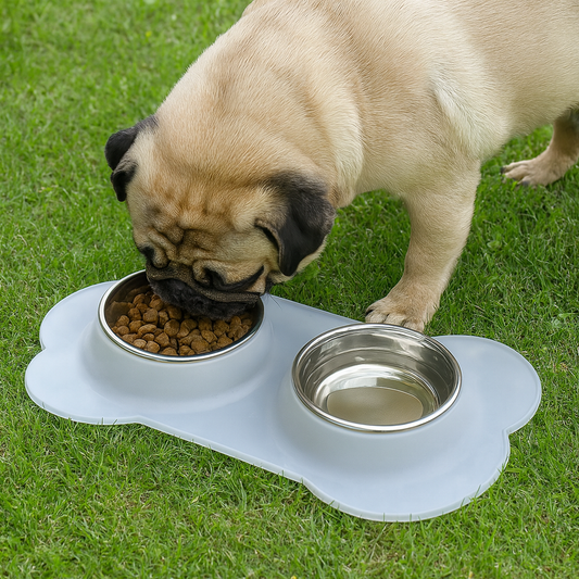 Gamelle double chien bouledogue