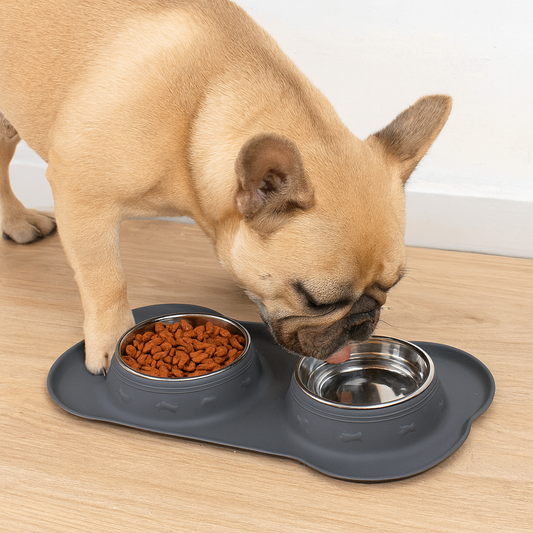 Gamelle double chien gris bouledogue