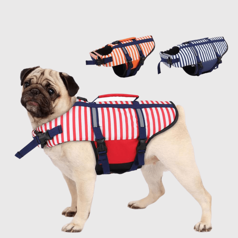 Gilet de sauvetage chien rayé Bleu modele