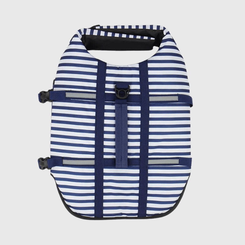 Gilet de sauvetage chien rayé Bleu recto