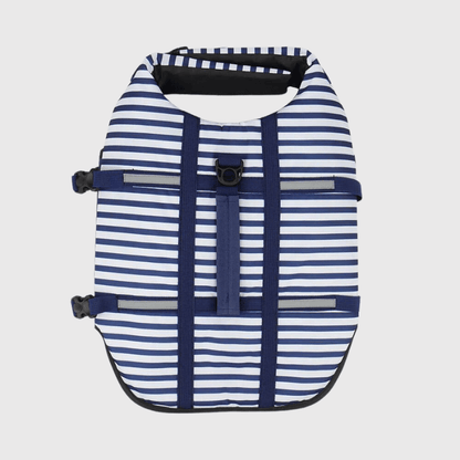 Gilet de sauvetage chien rayé Bleu recto