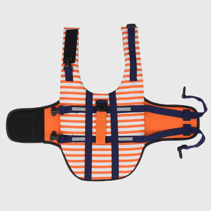 Gilet de sauvetage chien rayé Orange attache