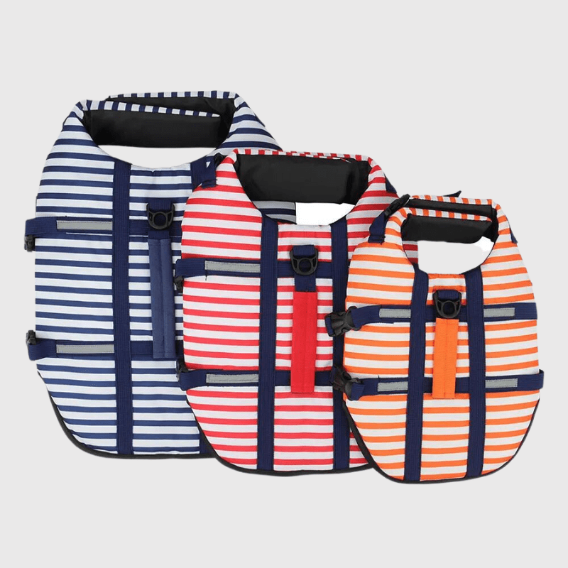 Gilet de sauvetage chien destockage