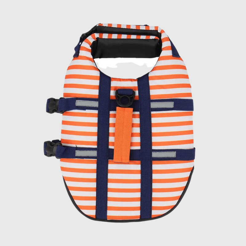 Gilet de sauvetage chien rayé Orange recto