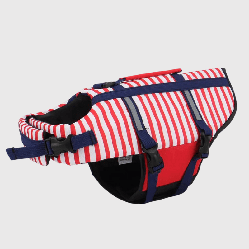 Gilet de sauvetage chien destockage