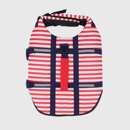 Gilet de sauvetage chien destockage