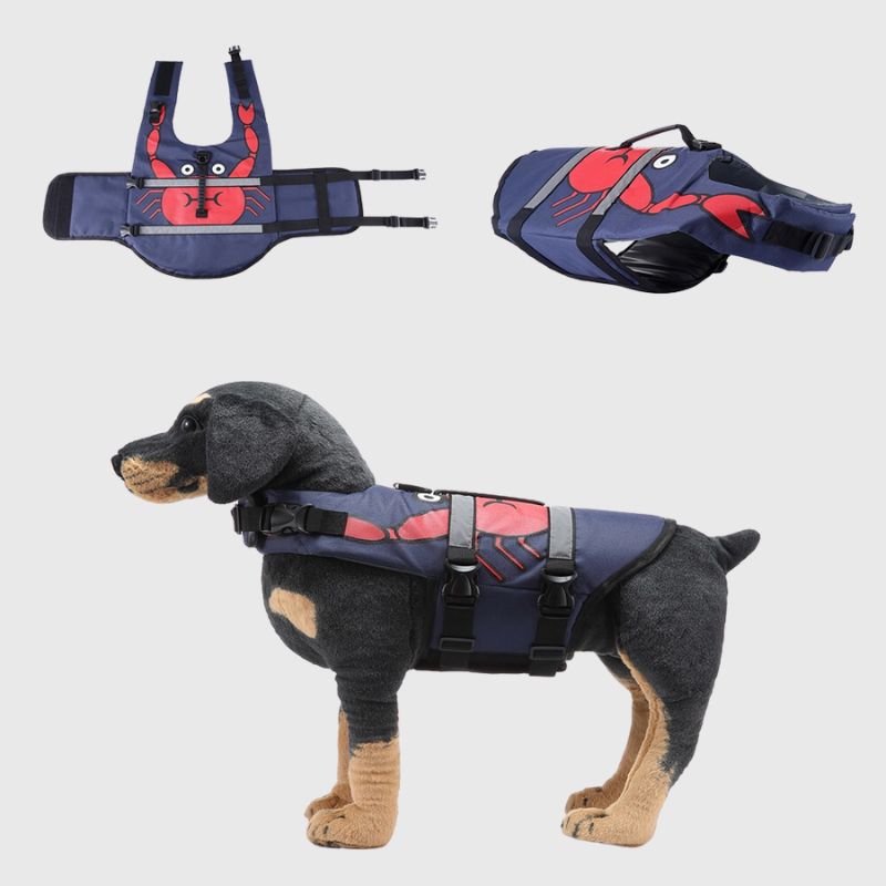 Gilet de sauvetage pour chien requin crabe 