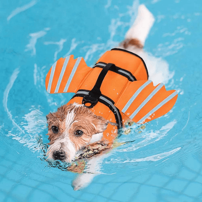 Gilet de sauvetage rigolo pour chien Orange jack russel