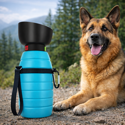 Gourde avec distributeur d'eau pour chien