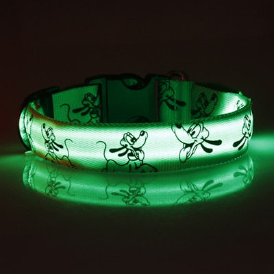 Collier pour chien de chasse fluo vert