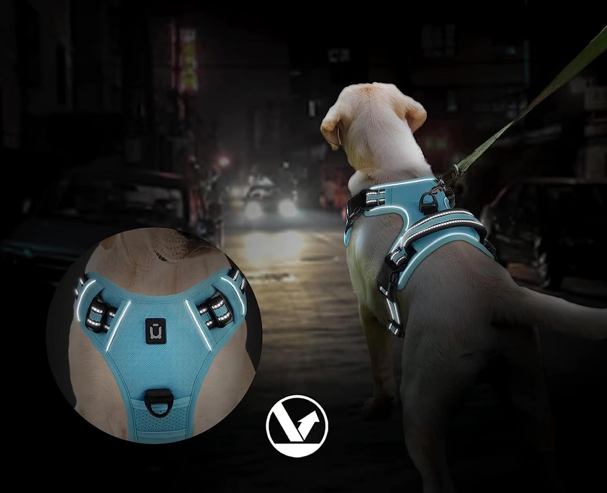 Pourquoi choisir ce harnais pour chien ?