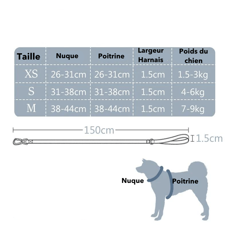 Caractéristiques du produit