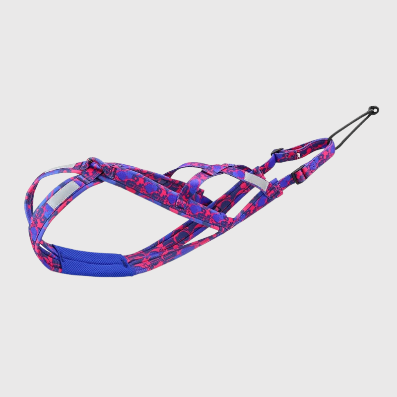 Harnais course chien rose
