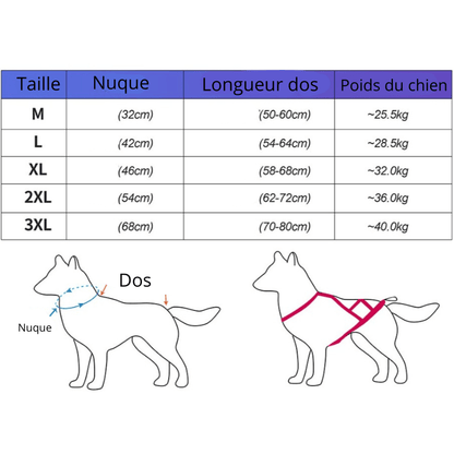 Harnais course chien taille