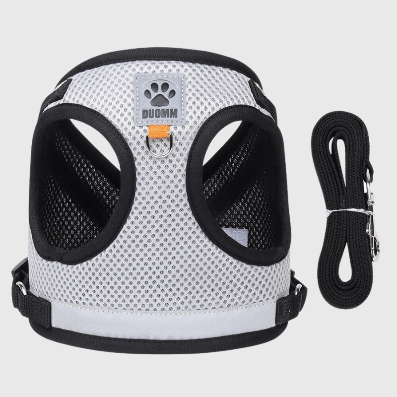 Harnais pour chien coloré gris