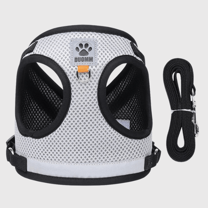 Harnais pour chien coloré gris