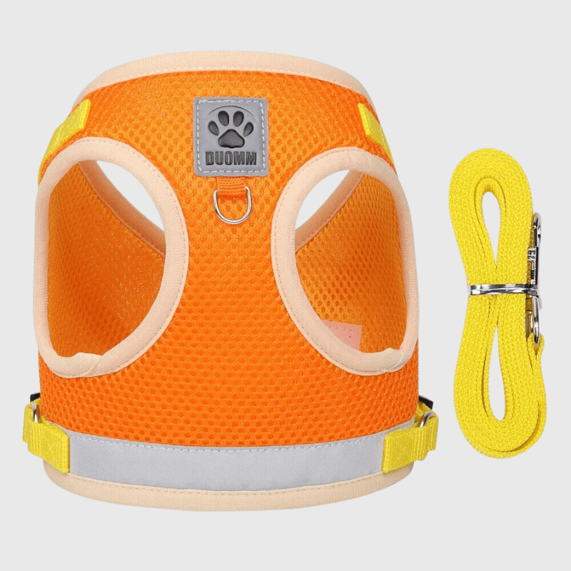 Harnais pour chien coloré orange