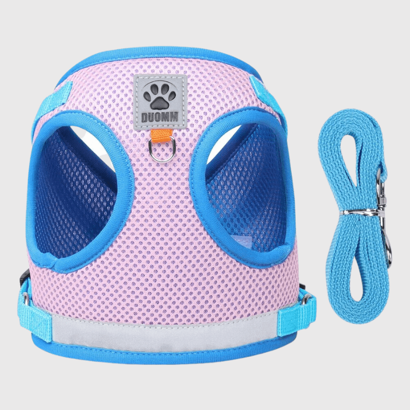 Harnais pour chien coloré rose