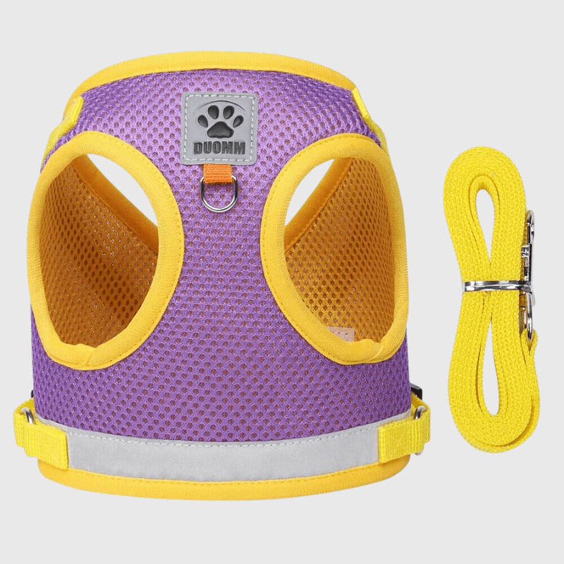 Harnais pour chien coloré violet