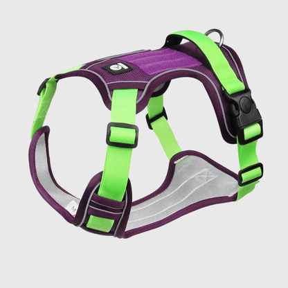 Harnais pour chien vert et violet