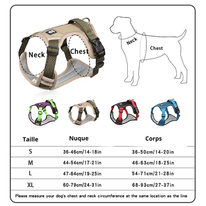 Harnais pour chien vert et violet taille