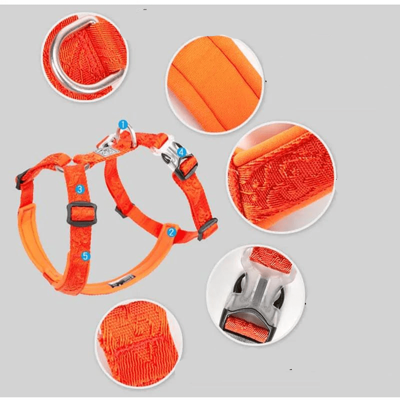 Pourquoi choisir ce harnais réglable pour chien ?