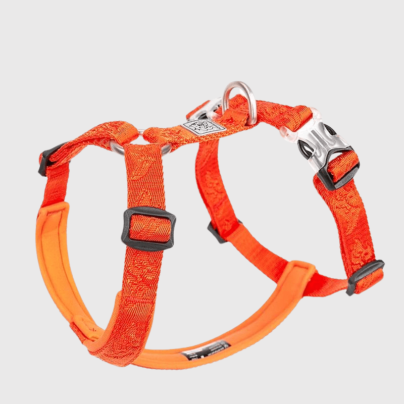 Harnais réglable pour chien orange