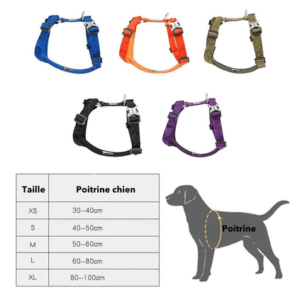 Harnais réglable pour chien taille