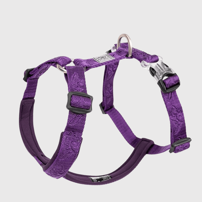 Harnais réglable pour chien violet