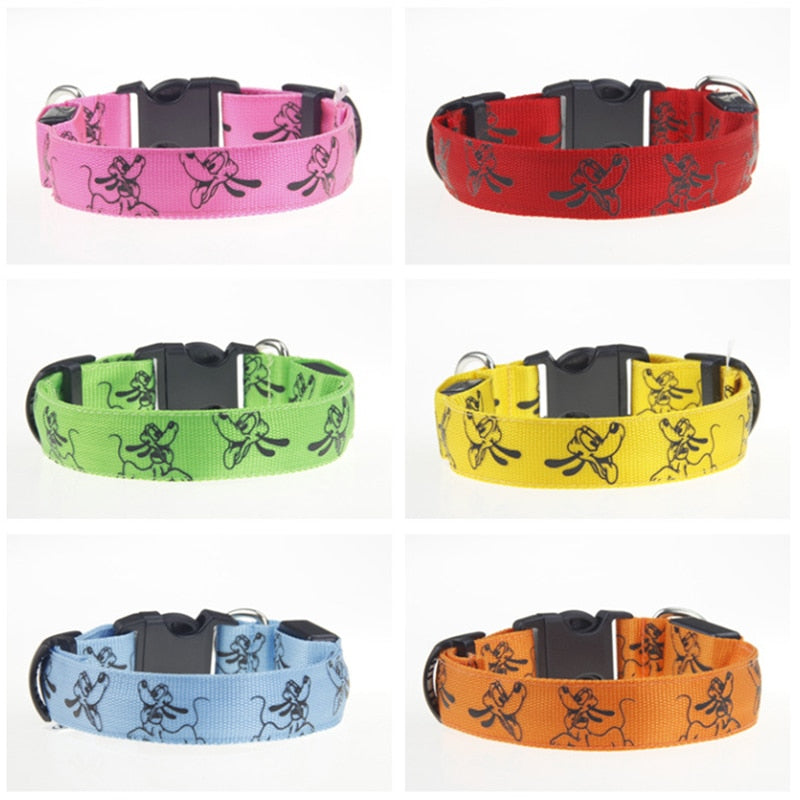 Collier pour chien de chasse fluo toutes les couleurs