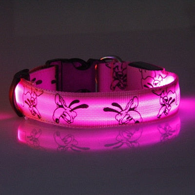 Collier pour chien de chasse fluo violet