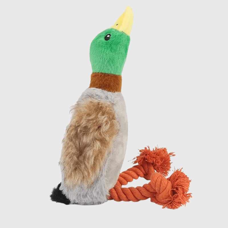 Jouet canard pour chien corde