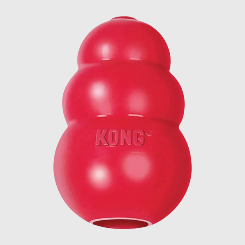 Kong jouet pour chien Rouge